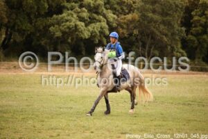Poney_Elite_Cross_12h01_045.jpg