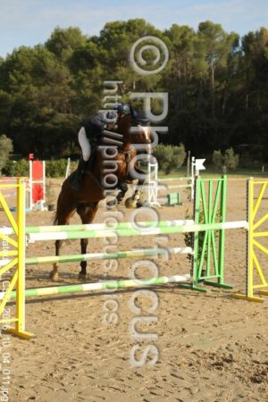 Amateur_1_CSO_2026_10_04_011.jpg