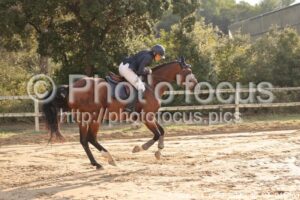 Amateur_1_CSO_2026_10_04_015.jpg