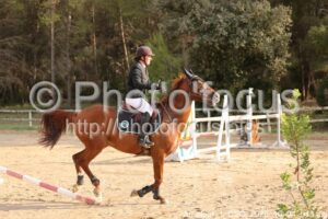 Amateur_1_CSO_2026_10_04_048.jpg