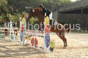 Amateur_1_CSO_2026_10_04_049.jpg