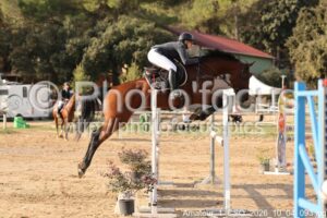 Amateur_1_CSO_2026_10_04_093.jpg