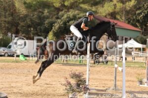 Amateur_1_CSO_2026_10_04_142.jpg