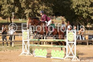 Amateur_1_CSO_2026_10_04_159.jpg