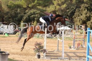 Amateur_1_CSO_2026_10_04_181.jpg