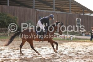 Amateur_1_CSO_2026_10_04_185.jpg