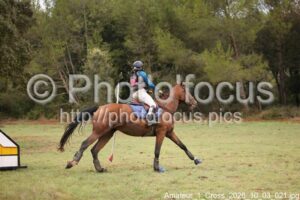 Amateur_1_Cross_2026_10_03_021.jpg