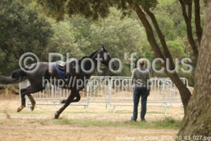 Amateur_1_Cross_2026_10_03_027.jpg