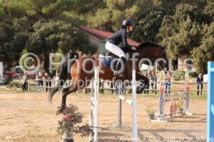 Amateur_2_CSO_2026_10_04_009.jpg