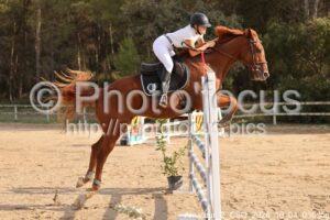 Amateur_2_CSO_2026_10_04_036.jpg