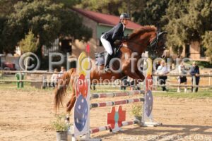 Amateur_2_CSO_2026_10_04_043.jpg