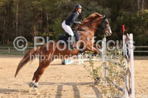Amateur_2_CSO_2026_10_04_046.jpg
