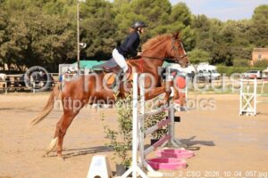 Amateur_2_CSO_2026_10_04_057.jpg