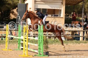 Amateur_2_CSO_2026_10_04_060.jpg