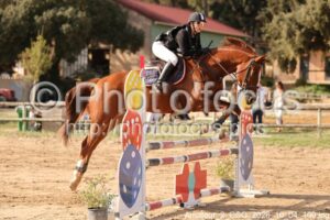 Amateur_2_CSO_2026_10_04_100.jpg