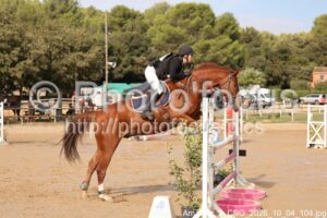 Amateur_2_CSO_2026_10_04_104.jpg