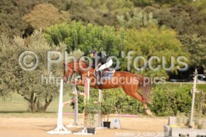 Amateur_2_CSO_2026_10_04_105.jpg