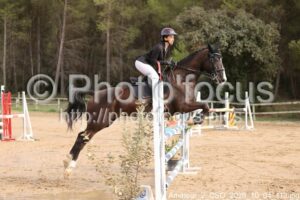 Amateur_2_CSO_2026_10_04_113.jpg