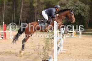 Amateur_2_CSO_2026_10_04_143.jpg