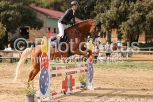 Amateur_2_CSO_2026_10_04_161.jpg