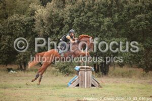 Amateur_2_Cross_2026_10_03_016.jpg