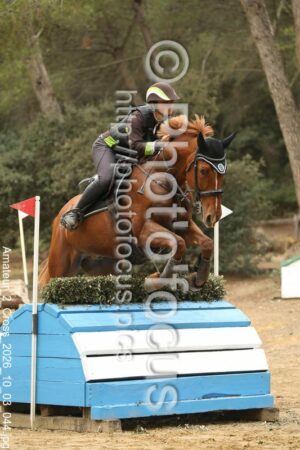 Amateur_2_Cross_2026_10_03_044.jpg