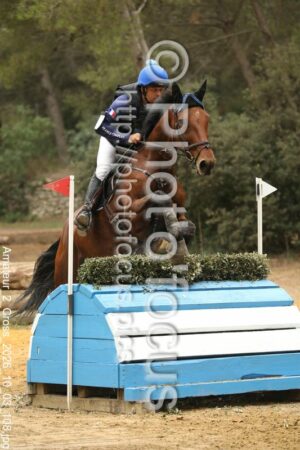 Amateur_2_Cross_2026_10_03_108.jpg