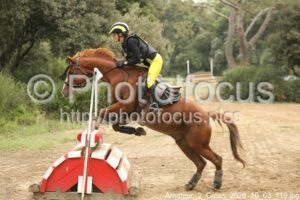 Amateur_2_Cross_2026_10_03_119.jpg
