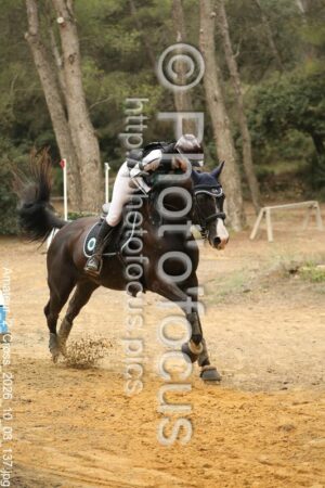 Amateur_2_Cross_2026_10_03_137.jpg