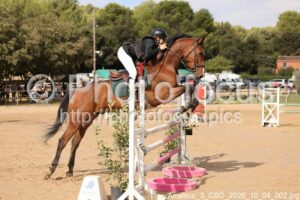 Amateur_3_CSO_2026_10_04_002.jpg