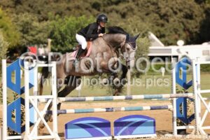 Amateur_3_CSO_2026_10_04_014.jpg