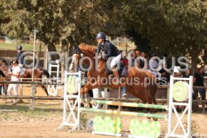 Amateur_3_CSO_2026_10_04_063.jpg