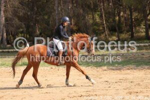 Amateur_3_CSO_2026_10_04_067.jpg