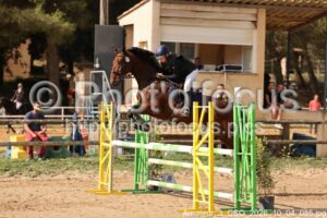 Amateur_3_CSO_2026_10_04_085.jpg