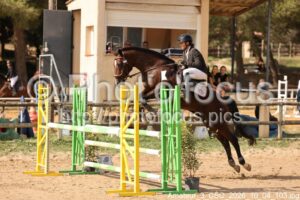 Amateur_3_CSO_2026_10_04_103.jpg