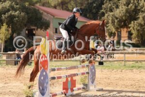 Amateur_3_CSO_2026_10_04_107.jpg