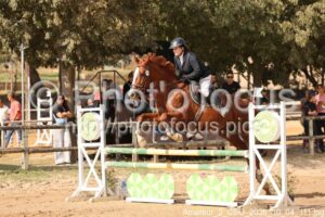 Amateur_3_CSO_2026_10_04_111.jpg