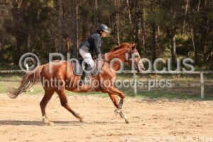 Amateur_3_CSO_2026_10_04_116.jpg