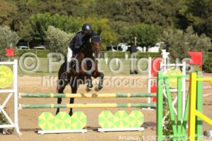 Amateur_3_CSO_2026_10_04_130.jpg