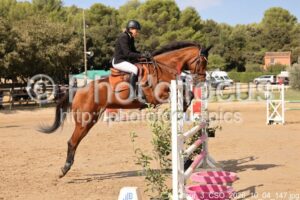 Amateur_3_CSO_2026_10_04_147.jpg