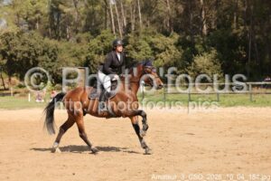 Amateur_3_CSO_2026_10_04_184.jpg