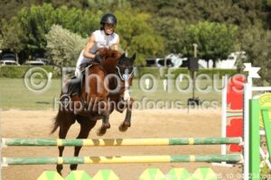 Amateur_3_CSO_2026_10_04_234.jpg