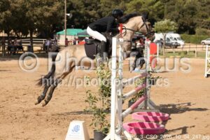 Amateur_3_CSO_2026_10_04_247.jpg