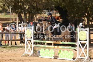 Amateur_3_CSO_2026_10_04_249.jpg