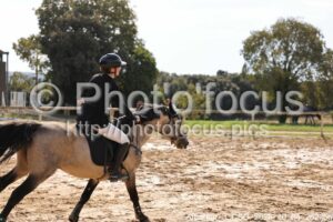 Amateur_3_CSO_2026_10_04_262.jpg