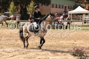 Amateur_3_CSO_2026_10_04_273.jpg