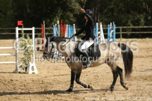 Amateur_3_CSO_2026_10_04_276.jpg