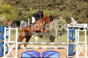Amateur_3_CSO_2026_10_04_291.jpg