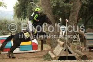 Amateur_3_Cross_2026_10_03_011.jpg