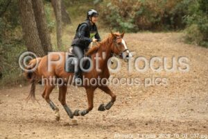 Amateur_3_Cross_2026_10_03_037.jpg